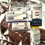 Testosterone Cypionate (HZPH) 10 мл - 250мг/мл