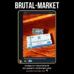 Nandrolone Decanoate (ZPHC NEW) 10 ампул - 250мг\мл