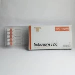 Testosterone E 250 (Olymp Labs, до 08.2025) 10 ампул -  250мг\мл