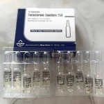 TESTOSTERONE E (ABURAIHAN, original) 10 ампул - 250мг\мл