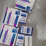 Primobion (Ultra Pharm) 10 мл - 100мг/мл