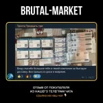 NANDRO D (Magnus) 10 ампул - 250мг\мл