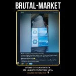 METHANOGER (Gerth Pharma) 100 таб - 10мг/таб