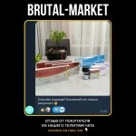 SUSTANON 250 (CanadaBioLabs) 10 ампул - 250мг/мл