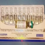 Testosterone Enanthate (ZPHC NEW) 10 ампул - 400мг/мл