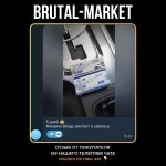 Nandrolone Decnoate (ZPHC NEW) 10 мл - 250мг/мл