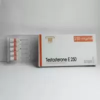 Testosterone E 250 (Olymp Labs, до 08.2025) 10 ампул -  250мг\мл